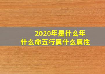 2020年是什么年什么命五行属什么属性