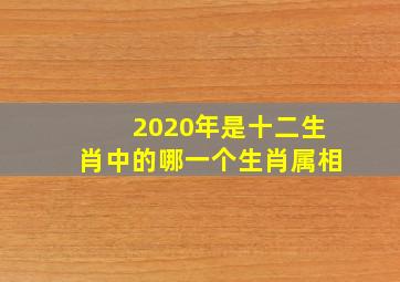 2020年是十二生肖中的哪一个生肖属相