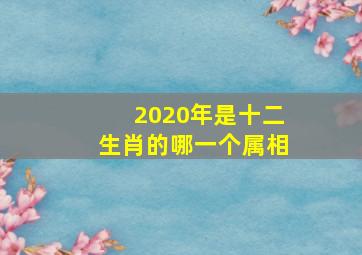 2020年是十二生肖的哪一个属相