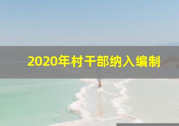 2020年村干部纳入编制