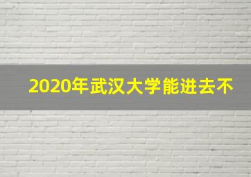 2020年武汉大学能进去不