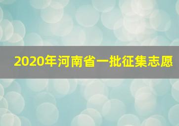 2020年河南省一批征集志愿