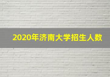 2020年济南大学招生人数