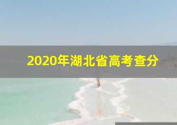 2020年湖北省高考查分