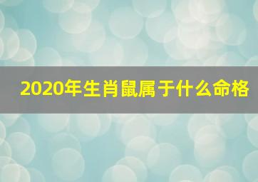 2020年生肖鼠属于什么命格