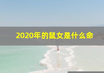 2020年的鼠女是什么命