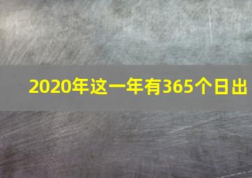 2020年这一年有365个日出