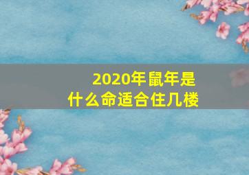 2020年鼠年是什么命适合住几楼