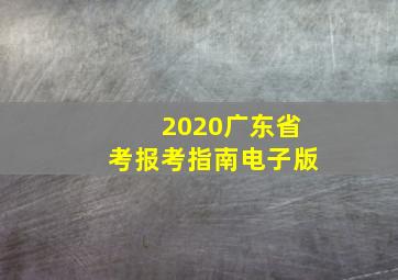 2020广东省考报考指南电子版