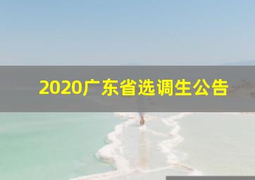 2020广东省选调生公告