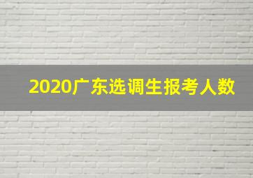 2020广东选调生报考人数