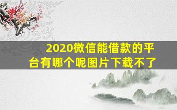 2020微信能借款的平台有哪个呢图片下载不了