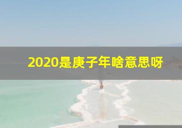 2020是庚子年啥意思呀