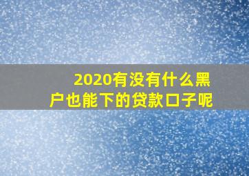 2020有没有什么黑户也能下的贷款口子呢