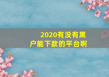 2020有没有黑户能下款的平台啊