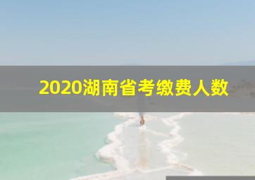 2020湖南省考缴费人数