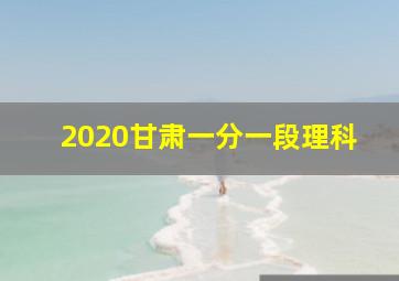 2020甘肃一分一段理科