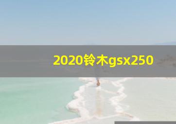 2020铃木gsx250