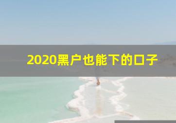 2020黑户也能下的口子