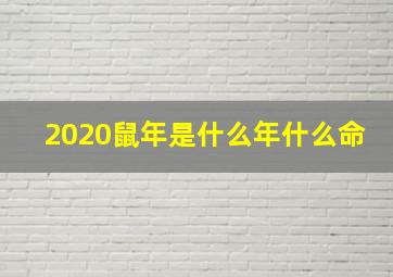 2020鼠年是什么年什么命