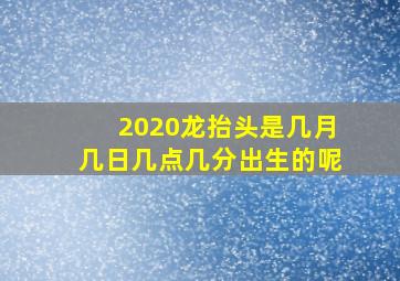 2020龙抬头是几月几日几点几分出生的呢