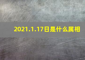 2021.1.17日是什么属相