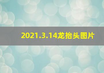 2021.3.14龙抬头图片