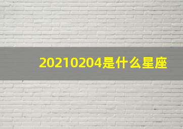 20210204是什么星座