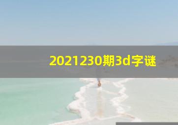 2021230期3d字谜