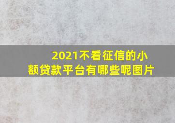 2021不看征信的小额贷款平台有哪些呢图片