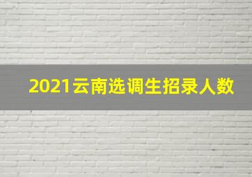 2021云南选调生招录人数