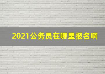 2021公务员在哪里报名啊