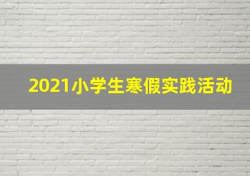 2021小学生寒假实践活动