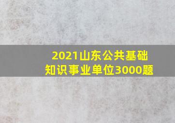 2021山东公共基础知识事业单位3000题