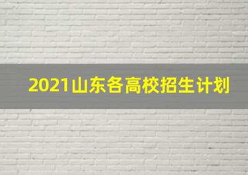 2021山东各高校招生计划