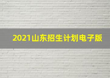 2021山东招生计划电子版