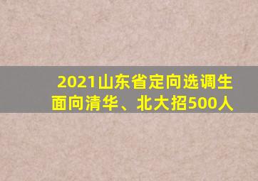 2021山东省定向选调生面向清华、北大招500人