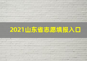 2021山东省志愿填报入口