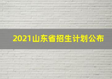 2021山东省招生计划公布