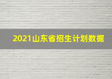 2021山东省招生计划数据