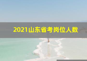 2021山东省考岗位人数