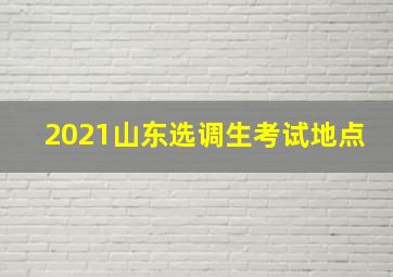 2021山东选调生考试地点