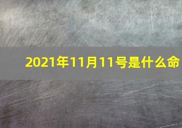 2021年11月11号是什么命