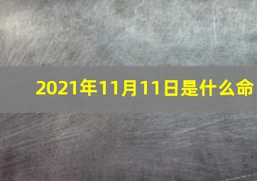 2021年11月11日是什么命