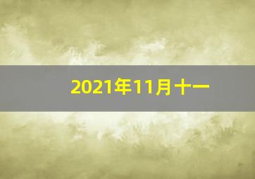 2021年11月十一