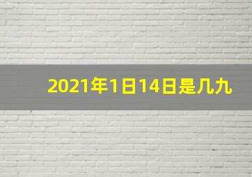 2021年1日14日是几九