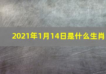 2021年1月14日是什么生肖