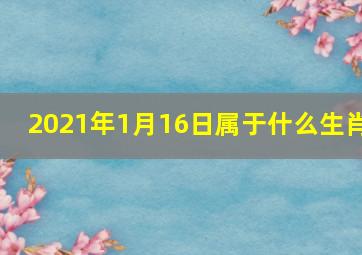 2021年1月16日属于什么生肖