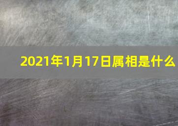 2021年1月17日属相是什么