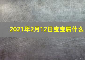 2021年2月12日宝宝属什么